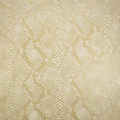 Kasmir NATE             ROSE GOLD       